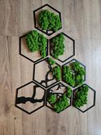 Muurdecoratie met mos en houten figuren, RBS, Nieuw, Ophalen of Verzenden, Gameren