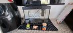 Leuk klein starters aquarium met pomp, Dieren en Toebehoren, Vissen | Aquaria en Toebehoren, Ophalen, Zo goed als nieuw, Leeg aquarium