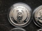 1988 Australia - Koala - 1/2 oz PLATINA, Ophalen of Verzenden, Platina