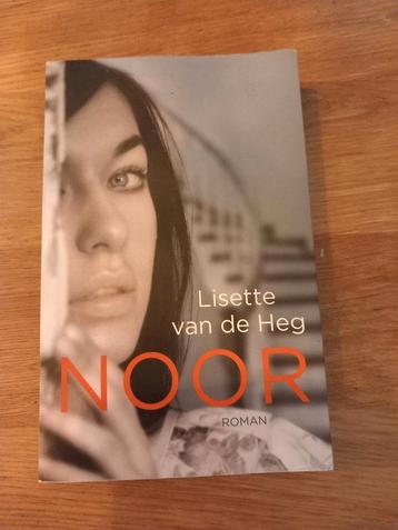 Noor - Lisette van de Heg (Roman) beschikbaar voor biedingen