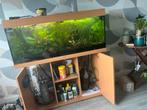 Aquarium juwel rio 240, Dieren en Toebehoren, Vissen | Aquaria en Toebehoren, Ophalen, Gebruikt, Gevuld zoetwateraquarium