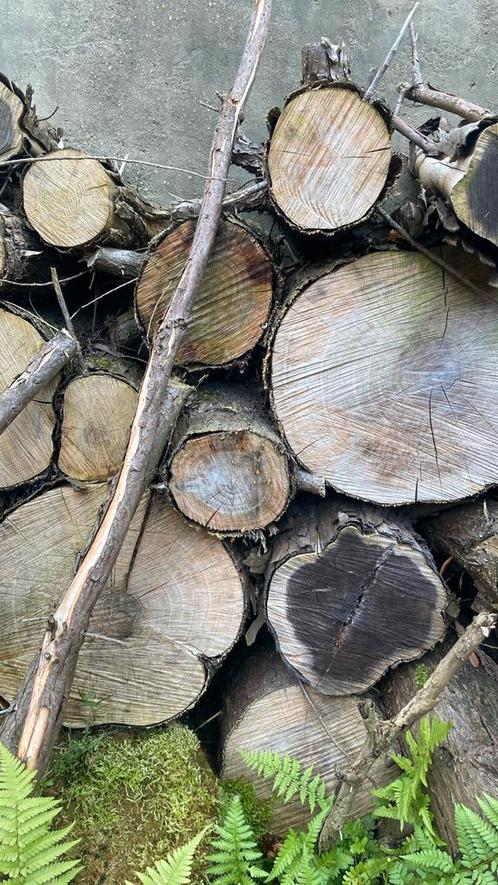 Gehakt hout van omgekapte bomen, Tuin en Terras, Haardhout, Stammen, Overige houtsoorten, 6 m³ of meer, Ophalen