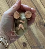 Schattig  muisje 🐀 reborn baby gratis verz dit weekend!, Verzenden, Nieuw, Babypop, Levensecht of Reborn