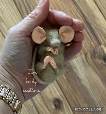 Schattig  muisje 🐀 reborn baby gratis verz dit weekend! beschikbaar voor biedingen