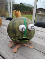 Surprise kikker prins, Diversen, Sinterklaas, Ophalen