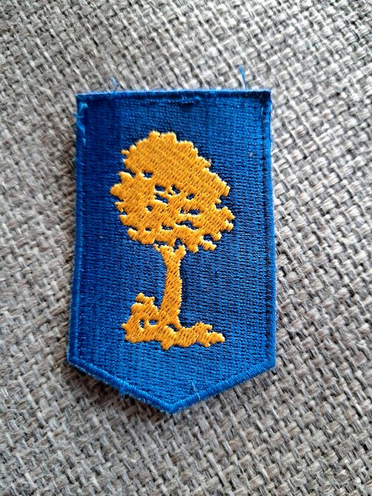 KL DT2000 eenheid embleem COCKL, Verzamelen, Militaria | Algemeen, Landmacht, Embleem of Badge, Nederland, Ophalen of Verzenden