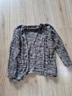 Jongens vest maat 104, Kinderen en Baby's, Trui of Vest, Zo goed als nieuw, Jongen, Scamps & Boys