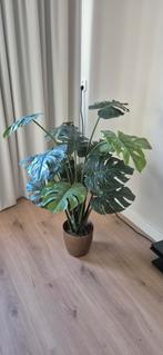 Mooie Kunst Monstera van Intratuin, Huis en Inrichting, Kamerplanten, Ophalen, Halfschaduw, Minder dan 100 cm