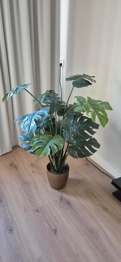 Mooie Kunst Monstera van Intratuin, Huis en Inrichting, Kamerplanten, Minder dan 100 cm, Halfschaduw, Ophalen