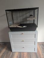 Hamsterkooi 2 verdiepingen, Dieren en Toebehoren, Knaagdieren en Konijnen | Hokken en Kooien, Kooi, Gebruikt, Minder dan 75 cm