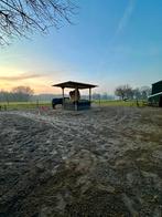️ 24/7 buiten plek vrij voor 1-2 merrie’s. Pensionstal, Weidegang, 2 of 3 paarden of pony's