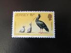Postzegel Vogel: Heremietibis uit Jersey, Ophalen of Verzenden, Postfris, Dier of Natuur