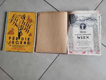 2 antieke boeken met bladmuziek van Strauss en Weense lieder beschikbaar voor biedingen