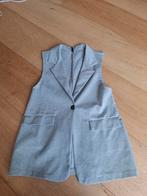 Ladies fashion gilet colbert mouwloos grijs mt M 38 grijs, Kleding | Dames, Ophalen of Verzenden, Zo goed als nieuw, Grijs, W30 - W32 (confectie 38/40)