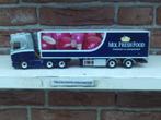 WSI  Scania  S  Highline  van  Mol  Fresh  Food.