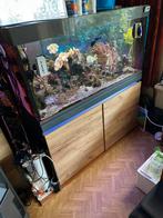 Te koop gebruikt Eheim zeeaquarium, Dieren en Toebehoren, Vissen | Aquaria en Toebehoren, Ophalen, Gebruikt, Gevuld zeewateraquarium