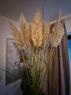 Pampas Pluimen - Pampasgras Decoratie, Huis en Inrichting, Ophalen, Zo goed als nieuw