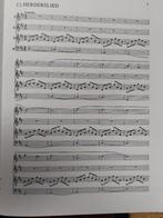 Kerstsuite voor blokfluit ensemble of andere c instrumenten, Muziek en Instrumenten, Gebruikt, Dwarsfluit of Piccolo, Verzenden