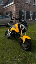 Honda Grom MSX125 - 181cc Kitaco, Motoren, Motoren | Honda, Particulier