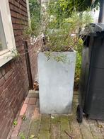 Twee bloembakken, Ophalen, Gebruikt, Minder dan 60 cm, 60 cm of meer