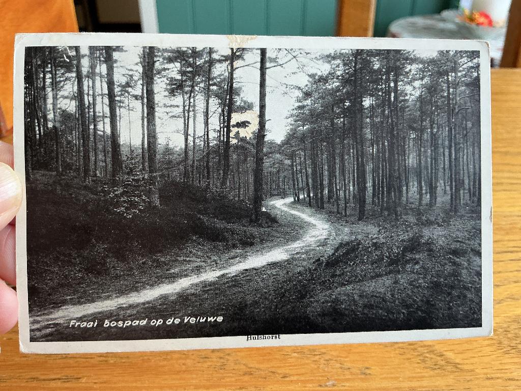 Hulshorst fraai bospad, Ophalen of Verzenden, 1960 tot 1980, Gelopen, Gelderland