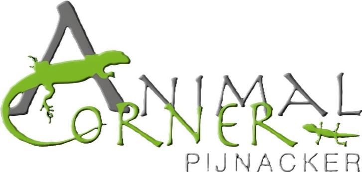 Animal corner Pijnacker, reptielenspeciaalzaak, Dieren en Toebehoren, Reptielen en Amfibieën, Hagedis, 0 tot 2 jaar, Met terrarium