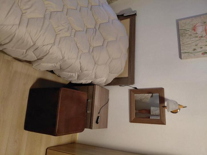 1persoonsbed elektrisch, Huis en Inrichting, Slaapkamer | Bedden, Zo goed als nieuw, Eenpersoons, 90 cm, 200 cm, Hout, Bruin, Ophalen