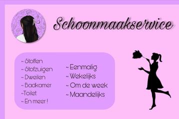 Breda Noord schoonmaakservice/huishoudelijke hulp aangeboden beschikbaar voor biedingen