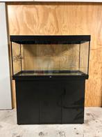 Juwel aquarium 360 Liter, Dieren en Toebehoren, Ophalen, Zo goed als nieuw, Leeg aquarium