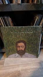 Iron and Wine - Our Endless Numbered Days LP, Ophalen of Verzenden, Zo goed als nieuw