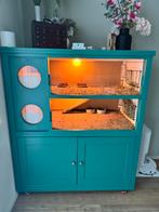 Cavia flat / kast, Dieren en Toebehoren, Ophalen, 90 cm of meer, Hok, Cavia