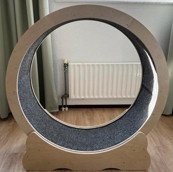 Kattenloopwiel VEVOR – zo goed als nieuw! beschikbaar voor biedingen
