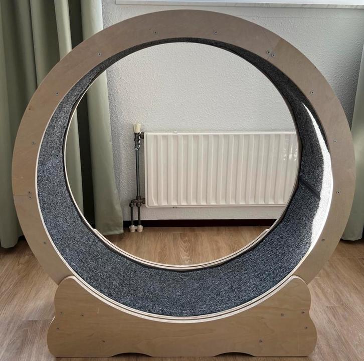 Kattenloopwiel VEVOR – zo goed als nieuw!, Dieren en Toebehoren, Kattenspeelgoed, Zo goed als nieuw, Overig speelgoed, Ophalen