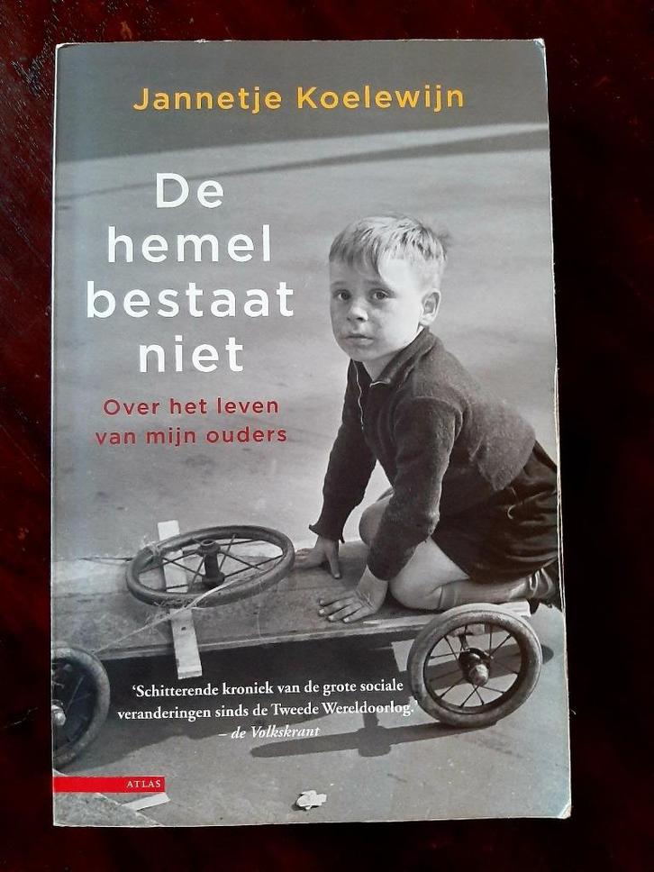 De hemel bestaat niet - Jannetje Koelewijn, Boeken, Literatuur, Gelezen, Nederland, Ophalen of Verzenden