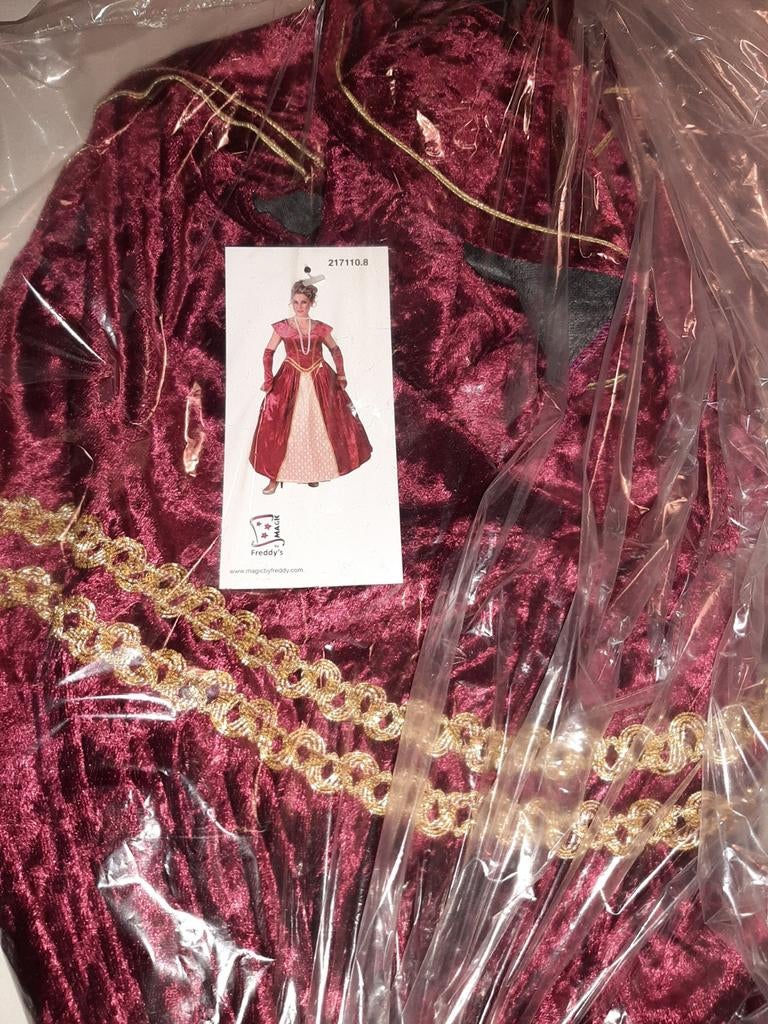 Verkleedkleding, Kleding | Dames, Carnavalskleding en Feestkleding, Ophalen of Verzenden, Nieuw, Maat 38/40 (M), Carnaval