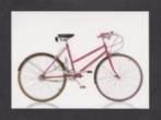 Wielersport Wielrennen Racefiets Alenax TRB 250., Ophalen of Verzenden, 1980 tot heden, Ongelopen, Sport en Spel