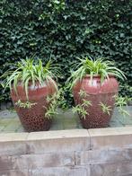 Mooie grote roze,terra,bordeau potten eventueel met planten, Steen, Minder dan 30 cm, Rond, Ophalen of Verzenden