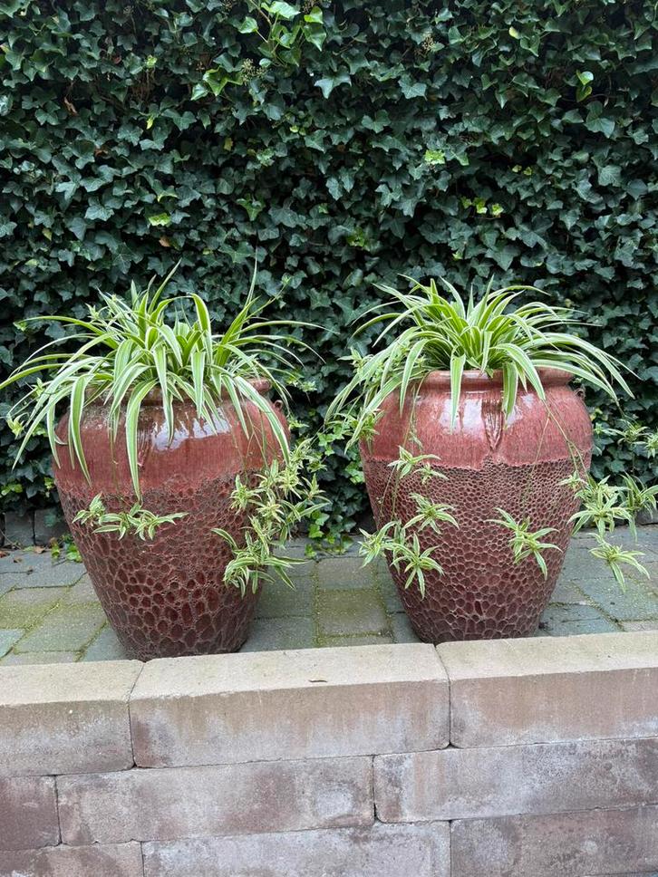 Mooie grote roze,terra,bordeau potten eventueel met planten, Tuin en Terras, Bloembakken en Plantenbakken, Zo goed als nieuw, Steen