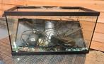 Aquarium 59x30x30, Dieren en Toebehoren, Ophalen, Gebruikt, -, -