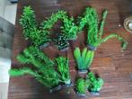 Aquarium decoratie, Dieren en Toebehoren, Vissen | Aquaria en Toebehoren, Ophalen of Verzenden, Zo goed als nieuw, Sierelement