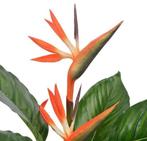 Kunstplant kamerplant strelitzia rood 100 cm GRATIS BEZORGD!, Verzenden, Nieuw, Binnen