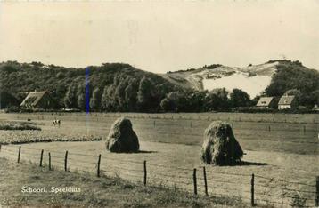 (304-227-003) Schoorl Speelduin beschikbaar voor biedingen