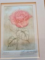 tekeningen, Minder dan 50 cm, Tekening, Ophalen of Verzenden, Zo goed als nieuw