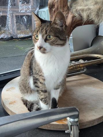 Leila mega sociale poes 2 jaar beschikbaar voor biedingen