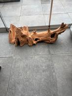 Boomstam voor Terrarium, Dieren en Toebehoren, Reptielen en Amfibieën