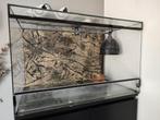 Terrarium incl. achterwand, Ophalen, Gebruikt, Terrarium of Paludarium