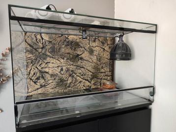 Terrarium incl. achterwand beschikbaar voor biedingen
