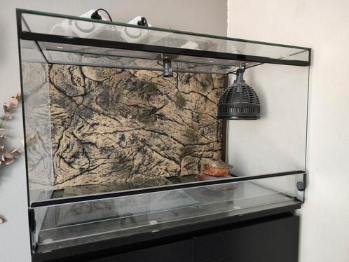 Terrarium incl. achterwand, Dieren en Toebehoren, Reptielen en Amfibieën | Toebehoren, Gebruikt, Terrarium of Paludarium, Ophalen