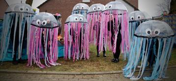 Carnaval Kwal 1-8 stuks € 20 p.s. loopgroep beschikbaar voor biedingen