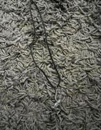 Ketting aap, Nieuw, Ophalen of Verzenden, Zilver, Overige materialen